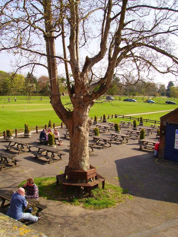 The Bell Inn Frampton on Severn Ruang foto